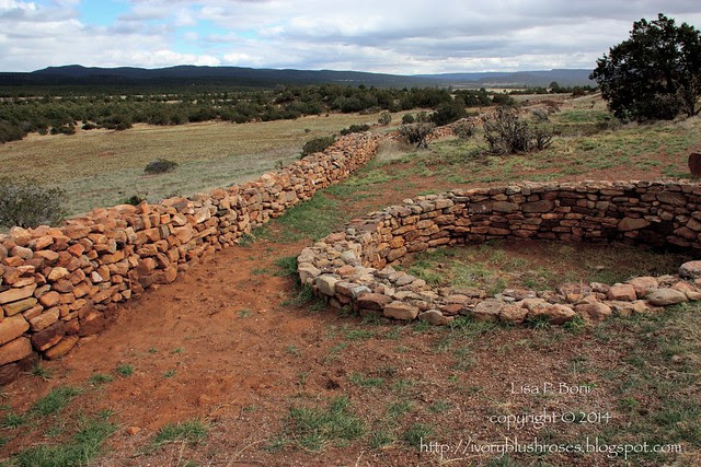 Pecos NHP Wall & Kiva