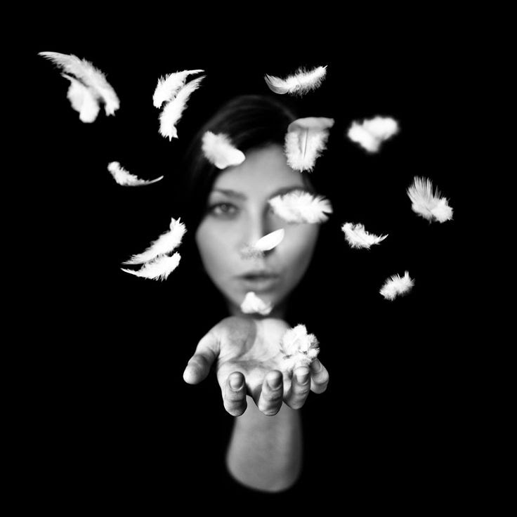"Plumes" Photography © Benoit Courti www.benoitcourti.net www.facebook.com/benoitcourtipage