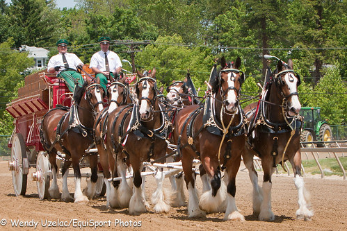 BudClyde_5.15.2010_esp_wu-8924