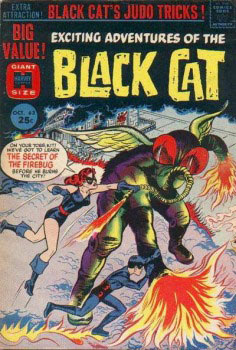 Black Cat #63