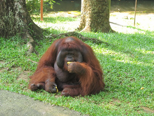 Zoo Negara