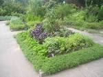 Earth Designs Garden Design and Build » Blog Archive Garden Design ...