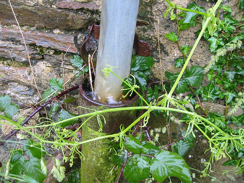 pipe