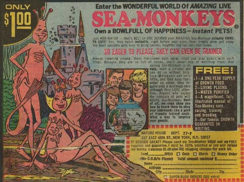 sea_monkeys
