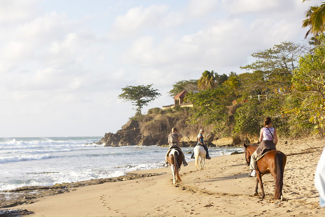 Horseback Riding Puerto Rico