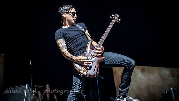 Alex Torres playing bass on tour with Escape the Fate, Aftershock 2014