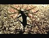 cryptile crestil