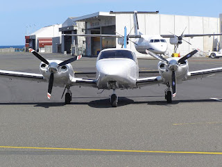 Piper Seneca