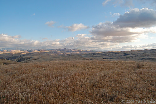 Late afternoon in Carrizo Plain NM