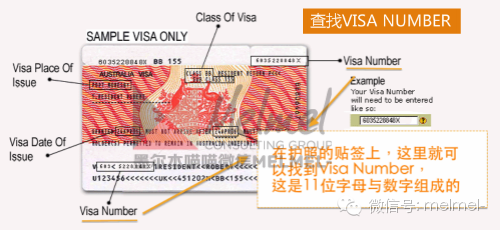 Visa Number - Labels Design Ideas 2020