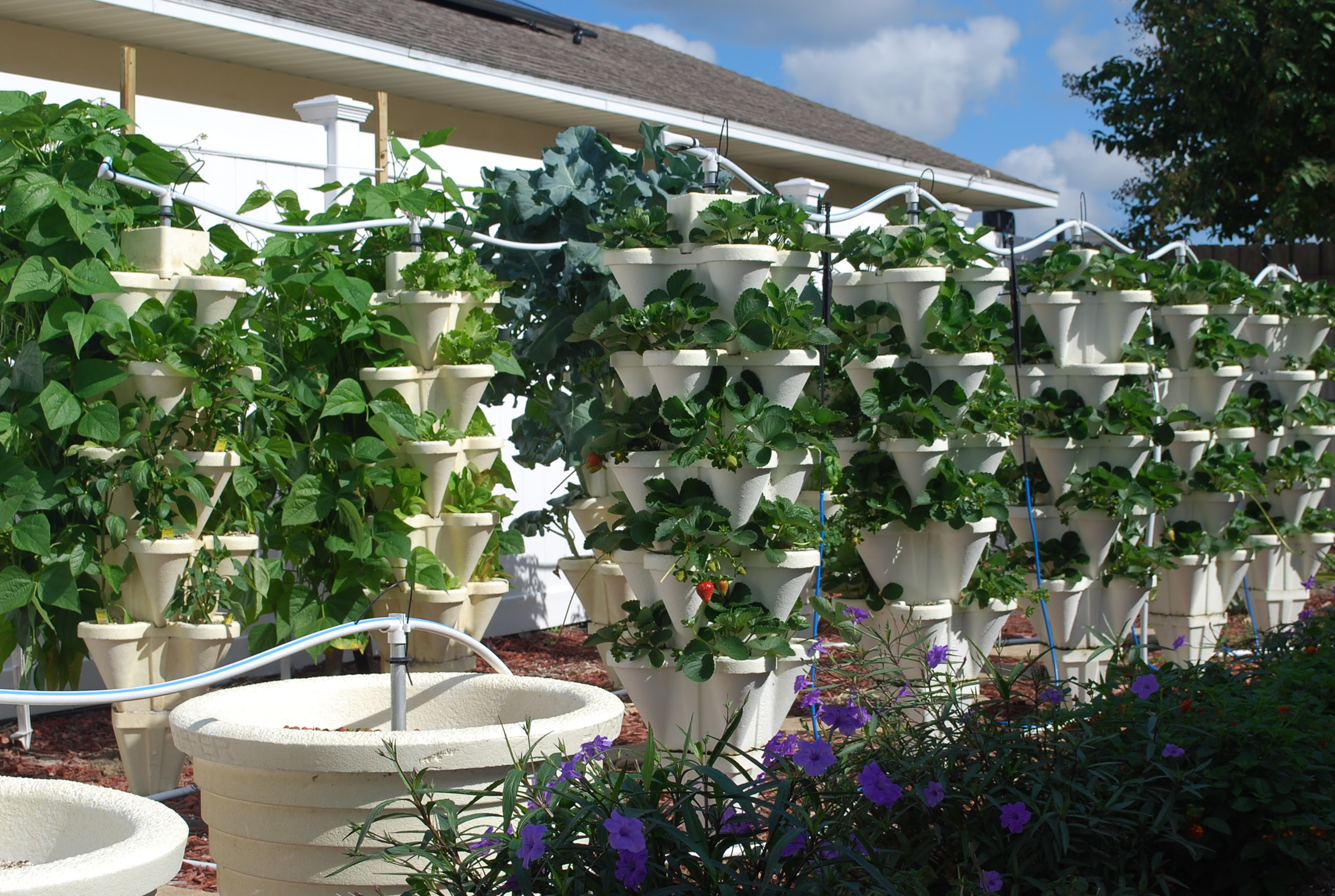Hydroponic Home Garden Backyard Food Solutions