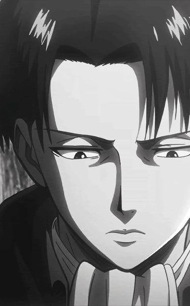 Featured image of post Attack On Titan Live Wallpaper Gif / We&#039;ve gathered more than 5 million images uploaded by our users and sorted them by the most popular ones.