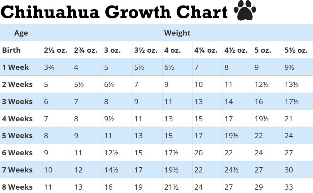 Chihuahua Growth Chart Gallery Of Chart 2019 Dog Breeds