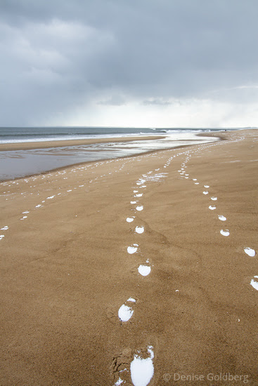 snowy footprints