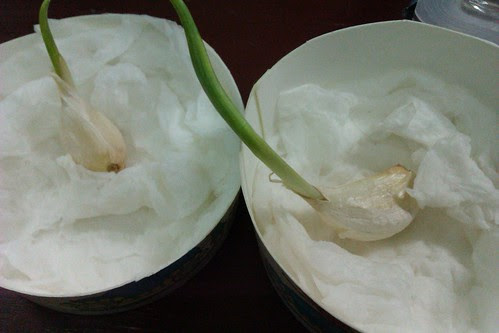 IMAG0392.jpg