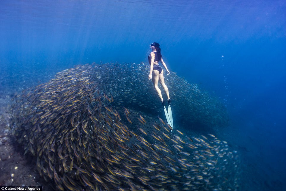 Her incredible photographs have led her to be dubbed a real-life mermaid (pictured swimming the middle of a fish ball)