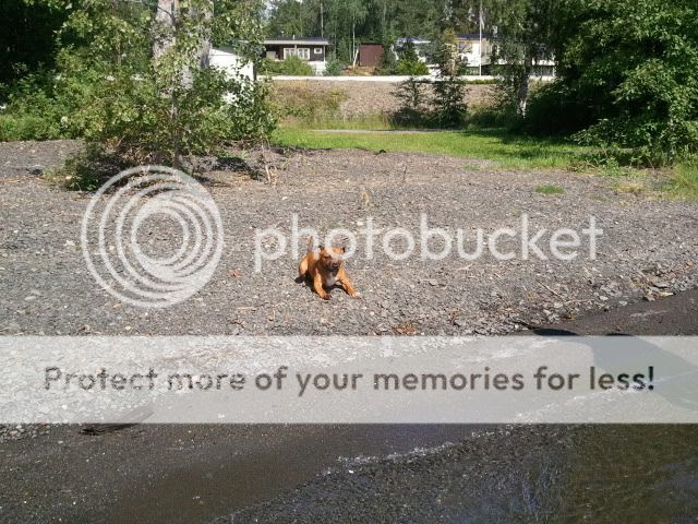 Photobucket