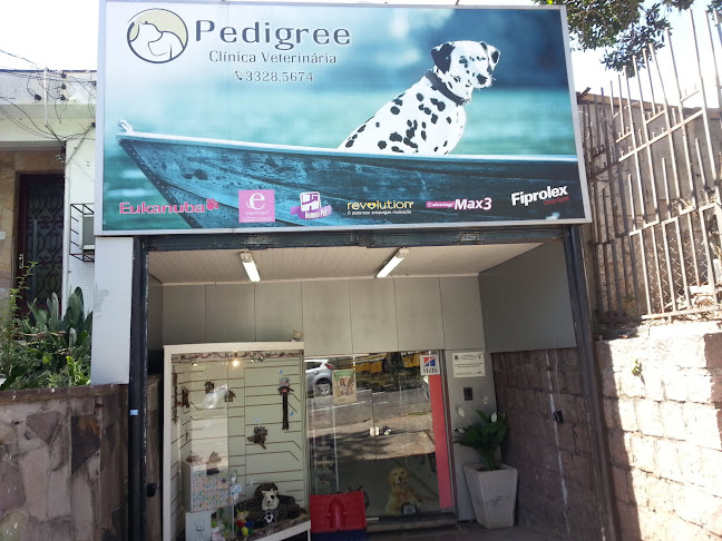 Avaliações sobre Pedigree Clínica Veterinária em Porto Alegre - Médico