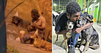 Homeless Man Gives His Dog The Most Heartwarming Birthday Possible