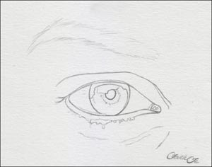 drawing the eye, free art lesson drawing the eye