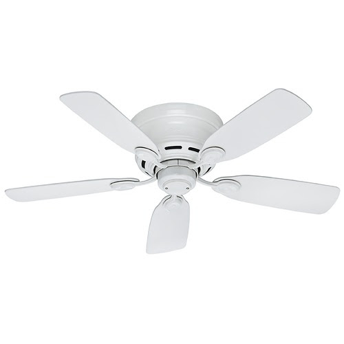 Lights For Slanted Ceiling,Light Bulbs For Ceiling Fans,Girl Ceiling Fans With Lights,Cluster Ceiling Lights Uk,Wall And Ceiling Lights To Match,Hampton Bay Ceiling Fan Light Kits,Kitchen Ceiling Lights Argos,Outdoor Ceiling Fan No Light,Low Profile Ceiling Fan Without Light,How To Install Recessed Lighting In Existing Ceiling,Ceiling Fan With Bright Light,Battery Operated Ceiling Light Fixture,Types Of Ceiling Lights,Dining Room Lights For Low Ceilings,Kids Ceiling Fans With Lights,How To Fit Ceiling Light,Ceiling Spot Light Fittings,Retro Ceiling Lights Uk,The Range Ceiling Lights,Multi Coloured Ceiling Lights,Wilko Ceiling Lights,Flush Mount Ceiling Fan With Light And Remote,Outdoor Ceiling Fans Without Lights,Flush Mount Ceiling Fan No Light,Flush Mount Ceiling Fans Without Lights,Bright Ceiling Light Fixtures,Flush Mount Ceiling Fan Without Light,Industrial Ceiling Fans With Lights,Kitchen Ceiling Fans With Bright Lights,Decorative Ceiling Light Panels,Elegant Ceiling Fans With Lights,Double Ceiling Fan With Light,Lights For Angled Ceilings,Clearly Modern Semi Flush Ceiling Light,Ceiling Light Mounting Bracket,Enclosed Ceiling Fan With Light,Hunter Ceiling Fan Light Covers,Led Ceiling Fan Light Bulbs,Ceiling Fan Led Light Bulbs,Hampton Bay Ceiling Fan Light Bulbs,Easy Fit Ceiling Lights,Universal Ceiling Fan Light Kits,Beacon Lighting Ceiling Fans,Hampton Bay Ceiling Fan Light Cover,Colour Changing Ceiling Lights,B & Q Ceiling Lights,Change Light Bulb High Ceiling,High Ceiling Light Bulb Changer,Modern Ceiling Fans With Lights And Remote,Outdoor Ceiling Fan With Light And Remote,Ceiling Fans With Remote Control And Light,Lighting Direct Ceiling Fans,Tropical Ceiling Fan With Light,Ceiling Fan With Crystal Light Kit,24 Ceiling Fan With Light,Led Lights For Garage Ceiling,Entryway Lights Ceiling,White Flush Mount Ceiling Fan With Light,Childrens Ceiling Fans With Lights,Nautical Flush Mount Ceiling Light,Antique White Ceiling Fan With Light,Battery Powered Ceiling Light Fixtures,Designer Ceiling Lights Uk,Vit Oak Wall Clock,Battery Operated Picture Wall Lights,Bathroom Wall Lights B&Q,Battery Operated Wall Mounted Lights,Moroccan Outdoor Wall Lights,Solar Brick Wall Lights,Fused Glass Wall Lights,Wall Picture Lights Battery Operated,Light Switch Controls Wall Outlet,Wall Clock With Led Light,Pull Switches For Wall Lights,12 Volt Outdoor Wall Lights,Wall Light Fittings B&Q,Ikea Plug In Wall Lights,Wall Mount Light Fixtures Indoor,Switched Wall Reading Lights Lights For Slanted Ceiling,Light Bulbs For Ceiling Fans,Girl Ceiling Fans With Lights,Cluster Ceiling Lights Uk,Wall And Ceiling Lights To Match,Hampton Bay Ceiling Fan Light Kits,Kitchen Ceiling Lights Argos,Outdoor Ceiling Fan No Light,Low Profile Ceiling Fan Without Light,How To Install Recessed Lighting In Existing Ceiling,Ceiling Fan With Bright Light,Battery Operated Ceiling Light Fixture,Types Of Ceiling Lights,Dining Room Lights For Low Ceilings,Kids Ceiling Fans With Lights,How To Fit Ceiling Light,Ceiling Spot Light Fittings,Retro Ceiling Lights Uk,The Range Ceiling Lights,Multi Coloured Ceiling Lights,Wilko Ceiling Lights,Flush Mount Ceiling Fan With Light And Remote,Outdoor Ceiling Fans Without Lights,Flush Mount Ceiling Fan No Light,Flush Mount Ceiling Fans Without Lights,Bright Ceiling Light Fixtures,Flush Mount Ceiling Fan Without Light,Industrial Ceiling Fans With Lights,Kitchen Ceiling Fans With Bright Lights,Decorative Ceiling Light Panels,Elegant Ceiling Fans With Lights,Double Ceiling Fan With Light,Lights For Angled Ceilings,Clearly Modern Semi Flush Ceiling Light,Ceiling Light Mounting Bracket,Enclosed Ceiling Fan With Light,Hunter Ceiling Fan Light Covers,Led Ceiling Fan Light Bulbs,Ceiling Fan Led Light Bulbs,Hampton Bay Ceiling Fan Light Bulbs,Easy Fit Ceiling Lights,Universal Ceiling Fan Light Kits,Beacon Lighting Ceiling Fans,Hampton Bay Ceiling Fan Light Cover,Colour Changing Ceiling Lights,B & Q Ceiling Lights,Change Light Bulb High Ceiling,High Ceiling Light Bulb Changer,Modern Ceiling Fans With Lights And Remote,Outdoor Ceiling Fan With Light And Remote,Ceiling Fans With Remote Control And Light,Lighting Direct Ceiling Fans,Tropical Ceiling Fan With Light,Ceiling Fan With Crystal Light Kit,24 Ceiling Fan With Light,Led Lights For Garage Ceiling,Entryway Lights Ceiling,White Flush Mount Ceiling Fan With Light,Childrens Ceiling Fans With Lights,Nautical Flush Mount Ceiling Light,Antique White Ceiling Fan With Light,Battery Powered Ceiling Light Fixtures,Designer Ceiling Lights Uk,Vit Oak Wall Clock Battery Operated Picture Wall Lights Bathroom Wall Lights B&Q Battery Operated Wall Mounted Lights Moroccan Outdoor Wall Lights Solar Brick Wall Lights Fused Glass Wall Lights Wall Picture Lights Battery Operated Light Switch Controls Wall Outlet Wall Clock With Led Light Pull Switches For Wall Lights 12 Volt Outdoor Wall Lights Wall Light Fittings B&Q Ikea Plug In Wall Lights Wall Mount Light Fixtures Indoor Switched Wall Reading Lights