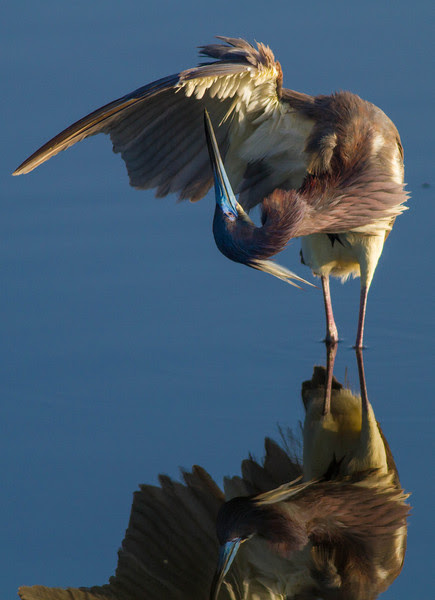 Photo & Video Sharing by SmugMug Photo & Video Sharing by SmugMug