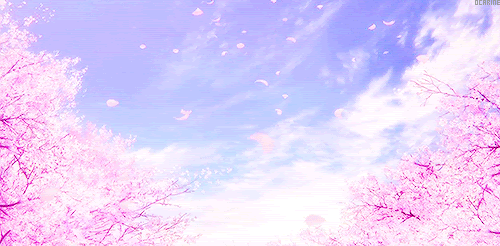 Featured image of post Cherry Blossom Tree Petals Falling Gif