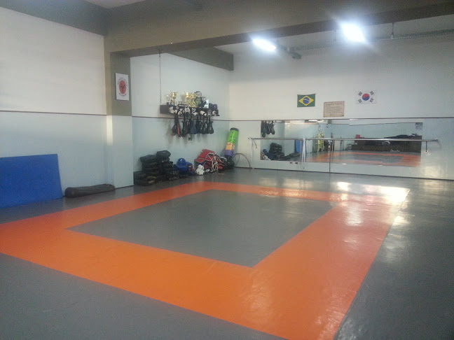 Academia Rodrigo Ferla Taekwondo - Academia