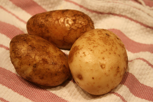 srping potatoes 005