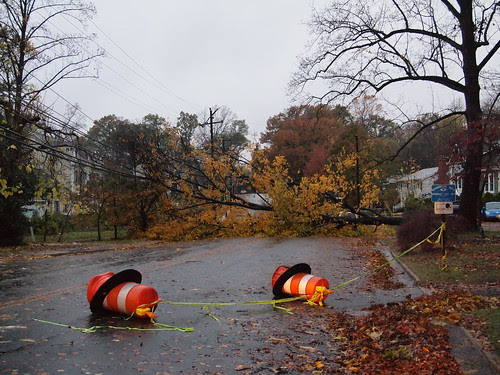 Tree down on Lincoln Ave (02)