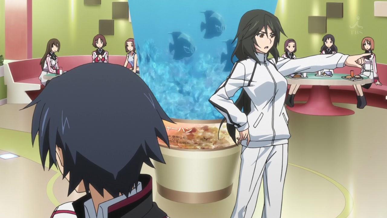 Infinite Stratos: first episode and lots of girls.