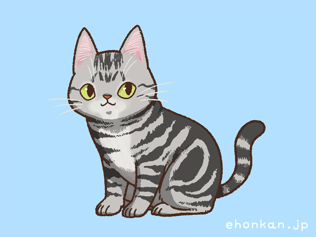 ベスト アメリカン ショート ヘア イラスト Free Illustration Material