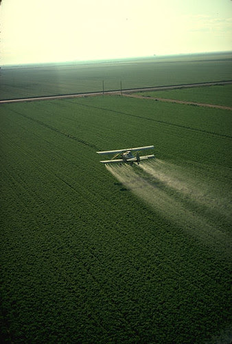 contaminación