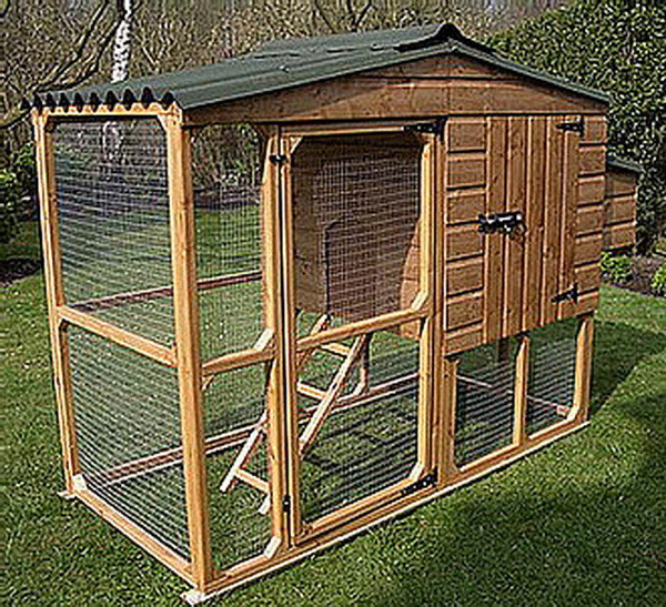 Build Basic Chicken Coop