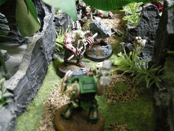 Blog - Cantonain-Bougnatour 2