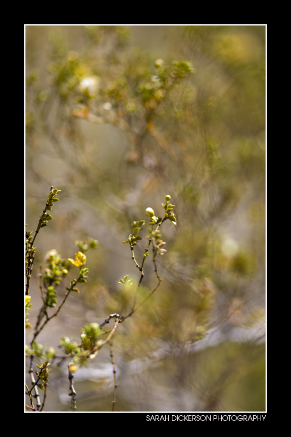 IMG_4279