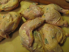 Cornish hens, smeared with compound butter