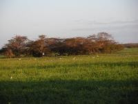 Free Image Hosting at www.ImageShack.us