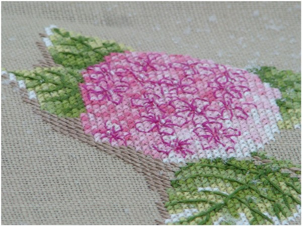 Fleurs d'Hortensia
