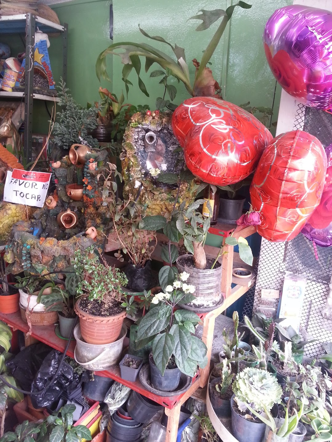vivero terron