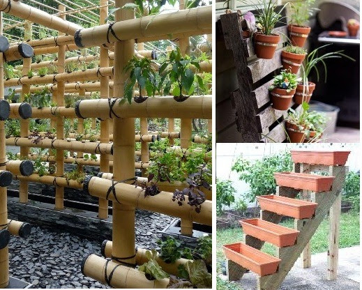 29 Terbaru Rak Tanaman Sayur Dari  Bambu 