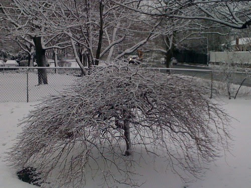 24 snow