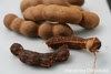 Tamarind 2