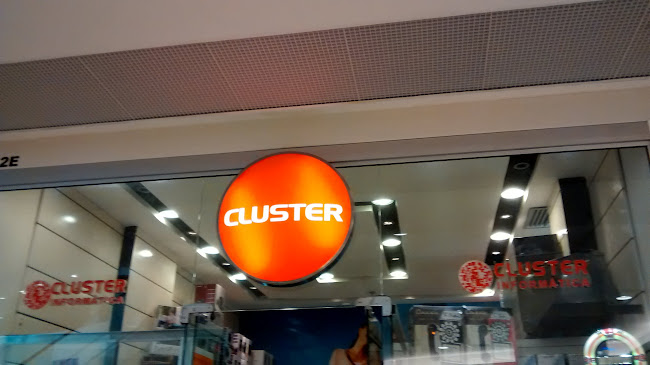 CLUSTER
