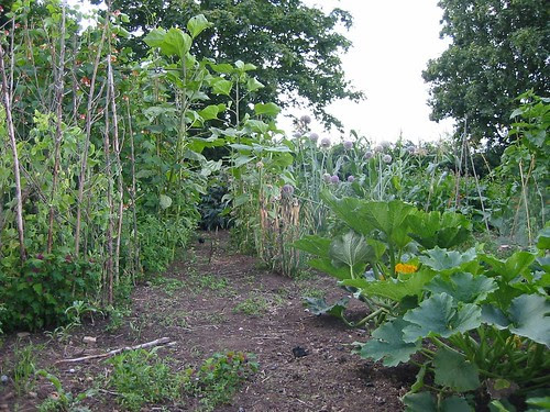 vegplot