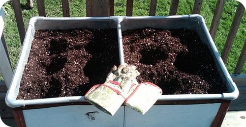 Planter3 Planter3