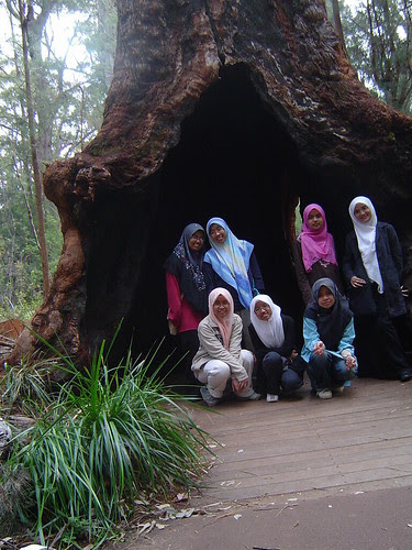 Wani 1 095