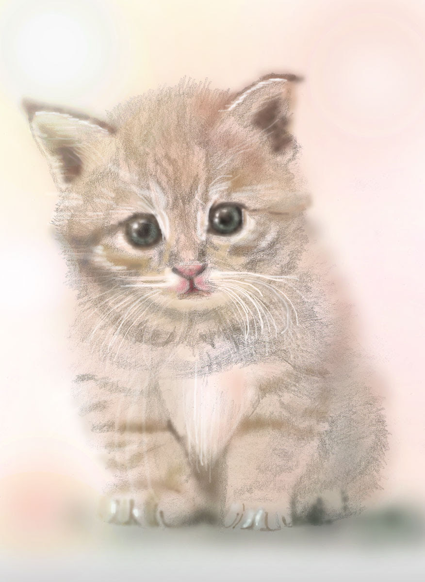 トップ100 子猫 イラスト リアル 最高の動物画像