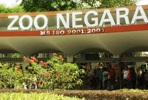 Harga tiket RM30 memasuki Zoo Negara dianggap mahal