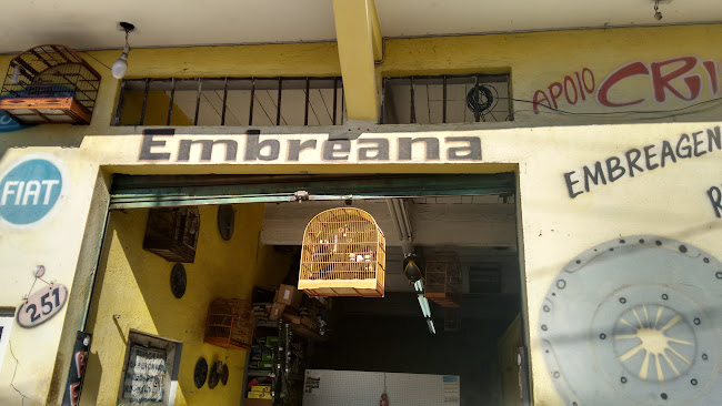 Avaliações sobre Embreana em São Paulo - Oficina mecânica